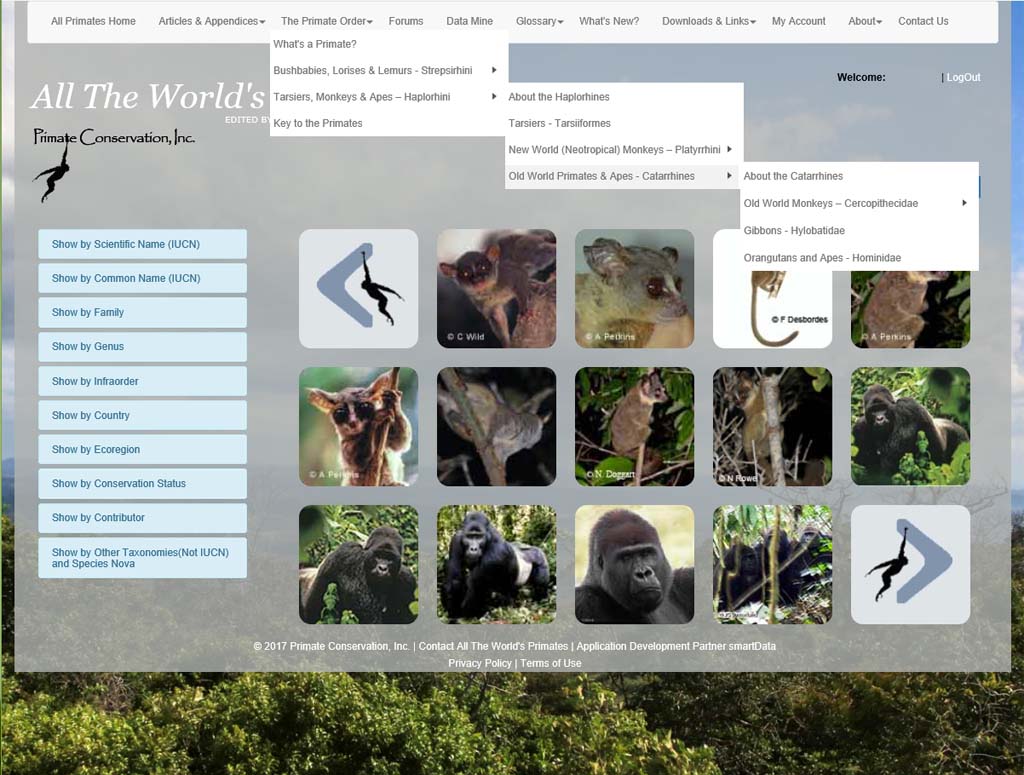 Searching for One of the World's Primates with Scientific Name Searching for One of the World's Primates with Scientific Name